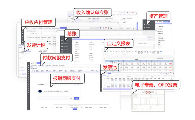 专业的财税功能,轻松应对企业财税管理